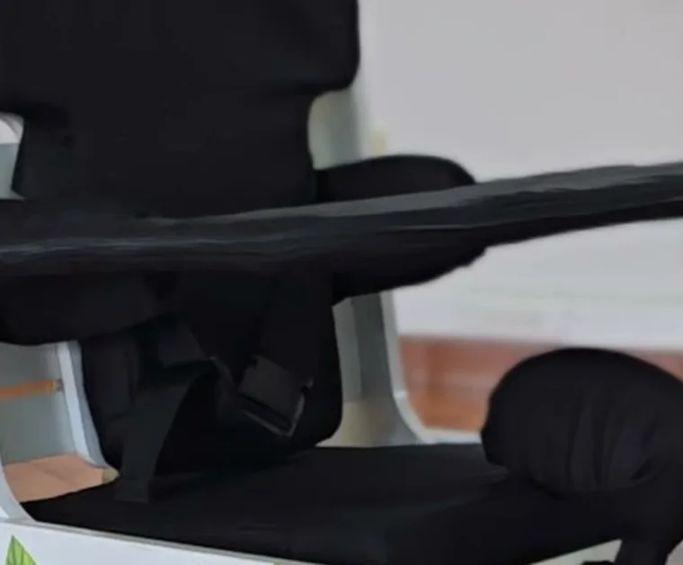 Close-up of the Modo tray, trunk supports and harness